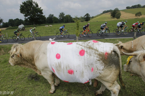 王中王一肖图四不象,探索神秘的艺术世界,神秘艺术世界的探索者,王中王一肖图的四不象肖像艺术