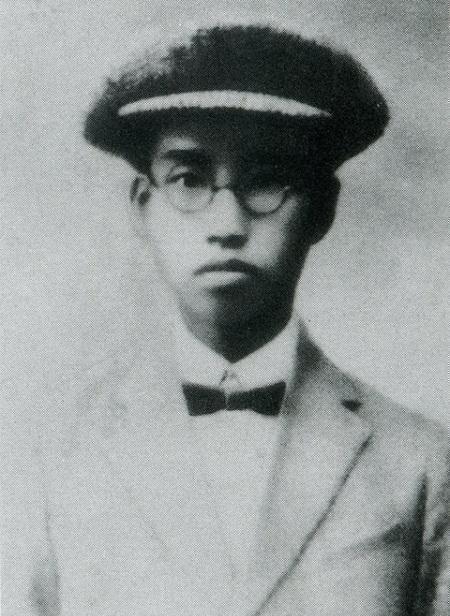 中国现役大将军衔名单及其数量解析，中国现役大将军衔名单与数量深度解析