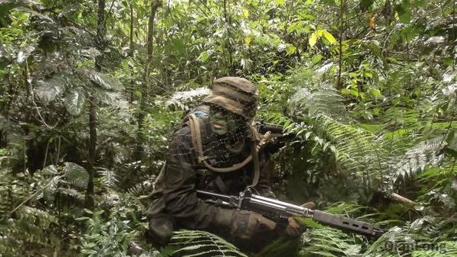 亚马逊Gigs丛林战学校,探索前沿科技与教育创新的融合之地,亚马逊Gigs丛林战学校,科技融合创新教育的实践基地探索