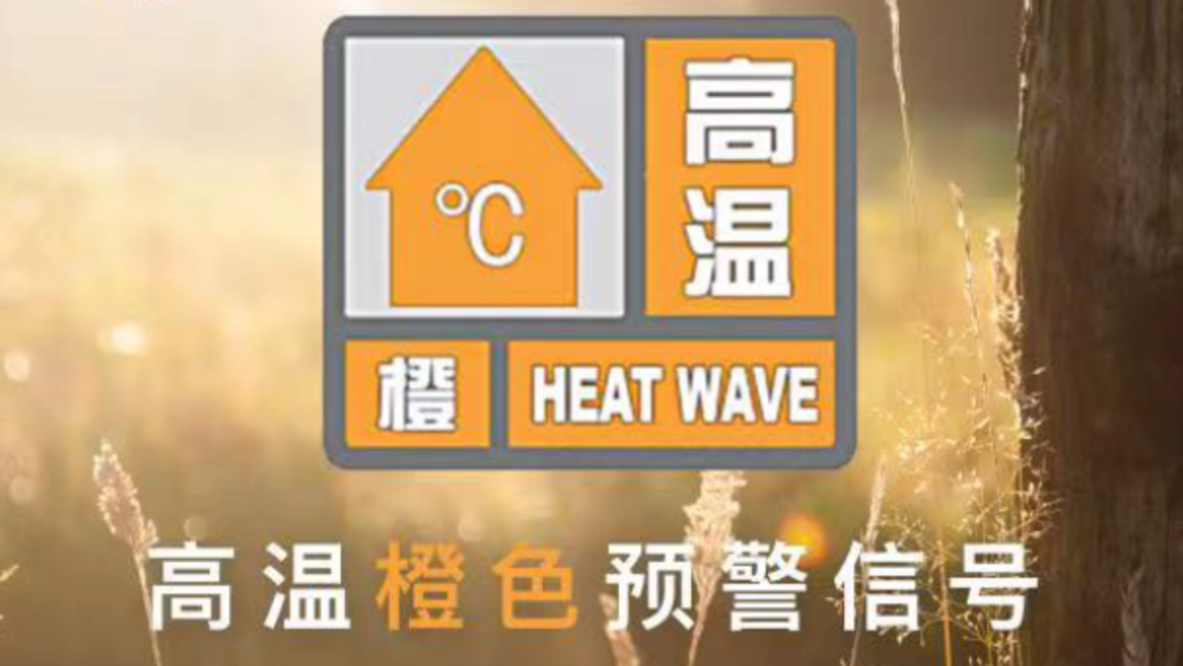 澳门精准免费资料，探索与解析，澳门精准免费资料解析与探索