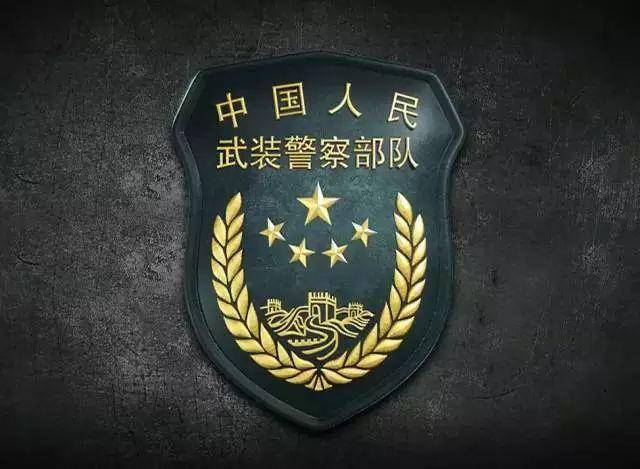 武装警察部队的职能,守护国家安全与稳定的坚实力量,武装警察部队,守护国家安全与稳定的钢铁长城