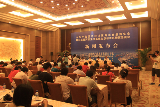 新闻发布会图片大全,记录时代的重要瞬间,新闻发布会图片集,时代瞬间的永恒记录