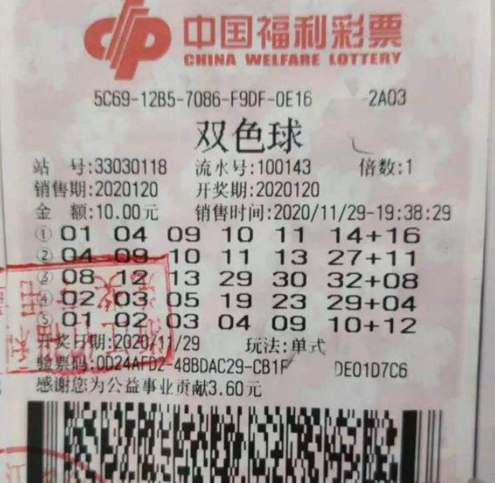 王中王平特一肖，两中奖者的故事，王中王平特一肖，两中奖者的传奇故事