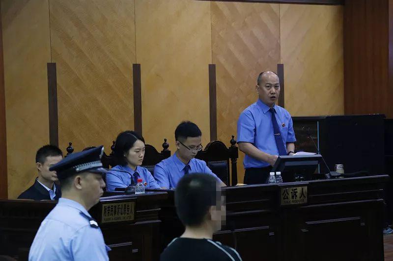 杨宇的出生地与成长背景探究，杨宇的出生地与成长背景深度解析