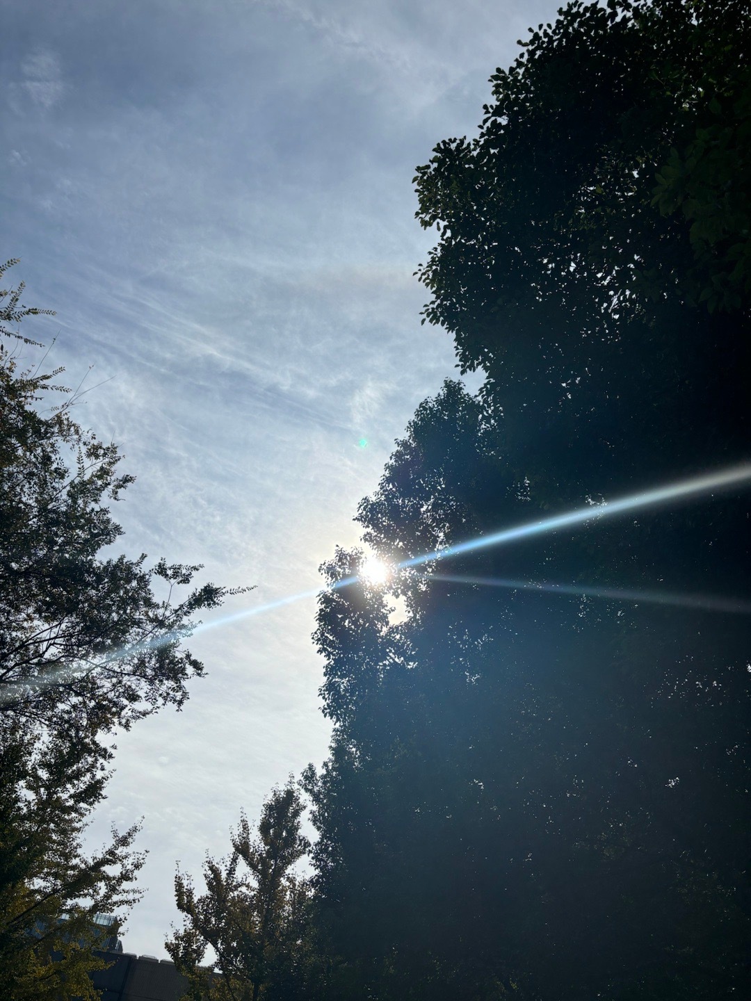 炽烈的阳光，今日太阳的宏大展现，炽烈阳光下的宏大展现