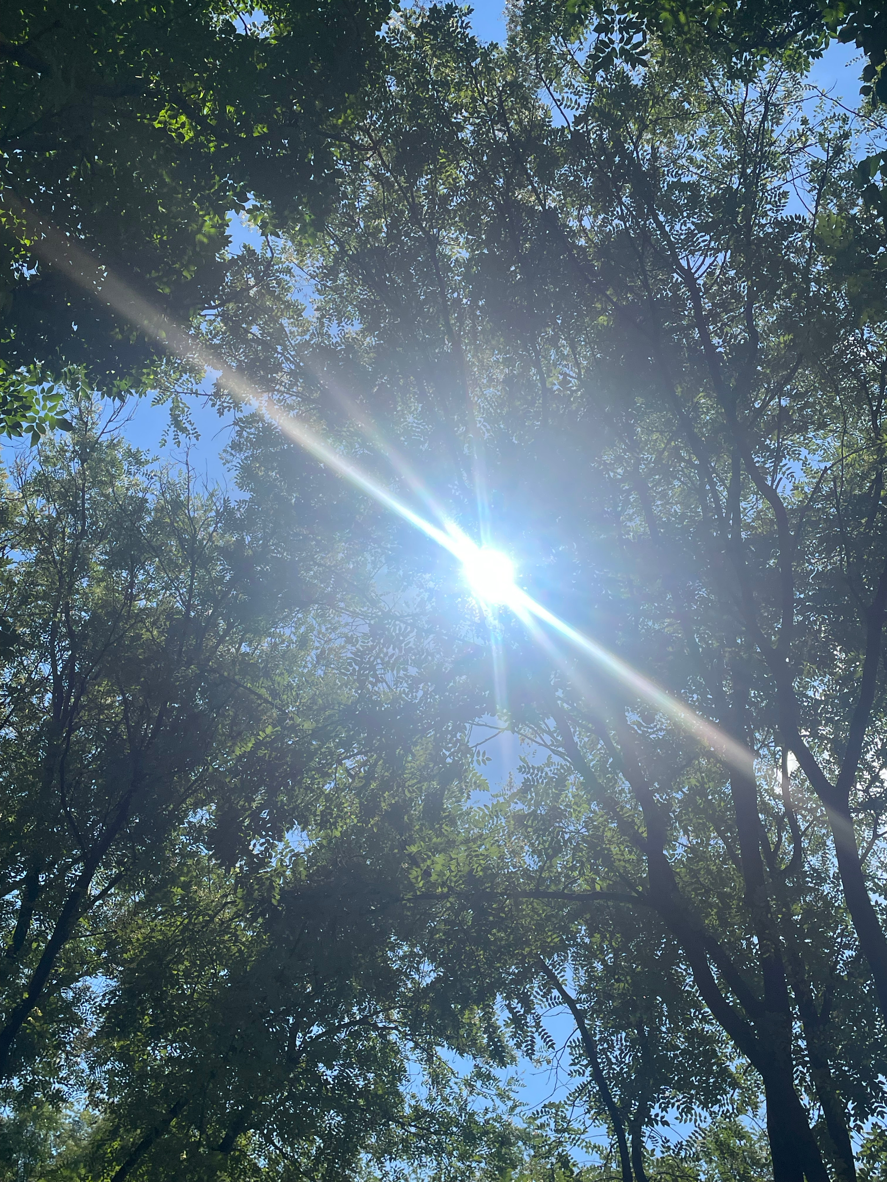 炽烈的阳光,今日太阳的宏大展现,炽烈阳光下的宏大展现