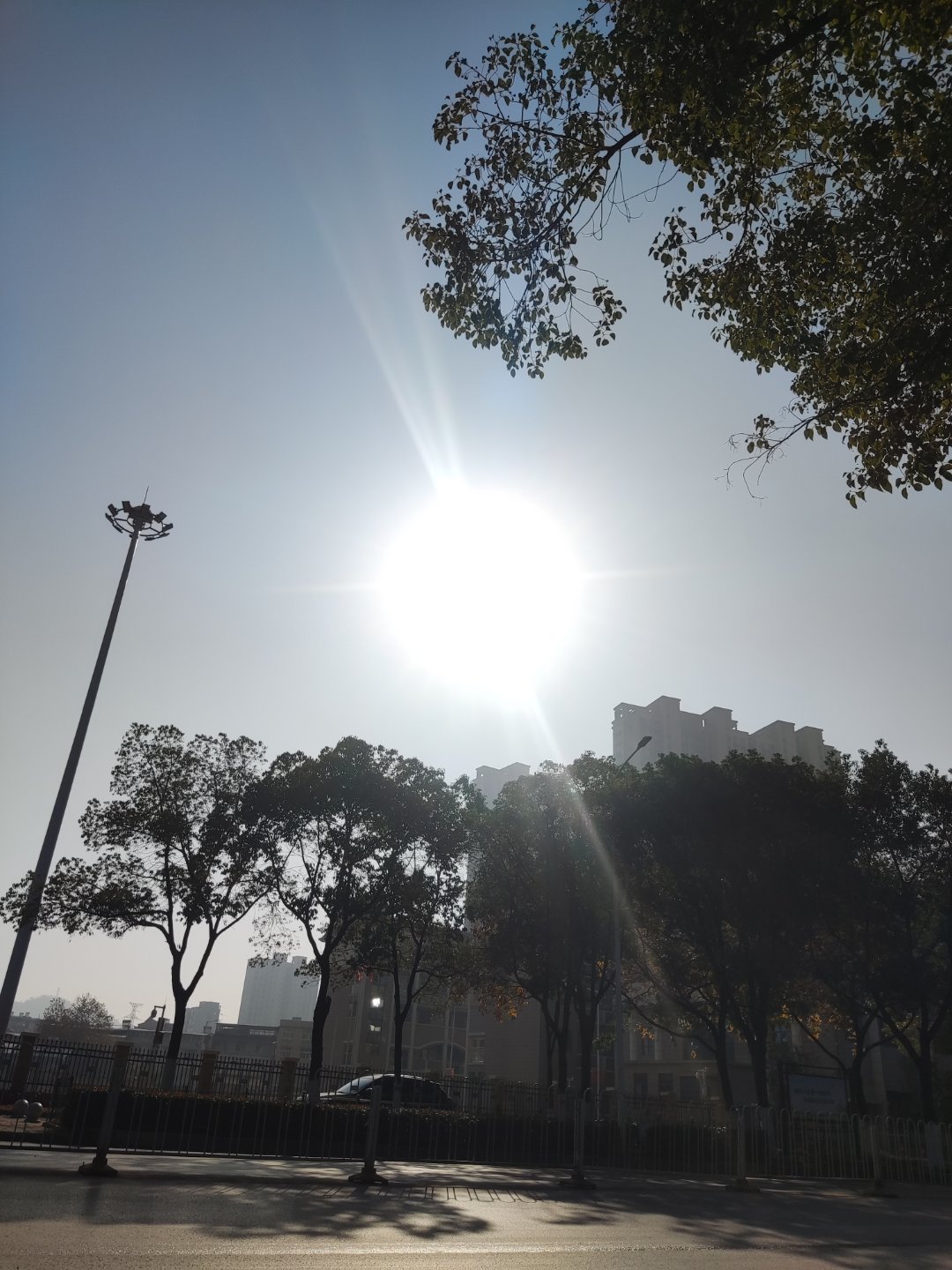 炽烈的阳光,今日太阳的宏大展现,炽烈阳光下的宏大展现