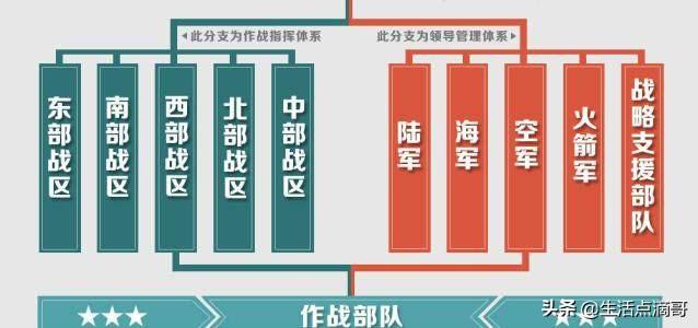 军改后部队编制的新面貌，军改后部队编制重塑，展现全新面貌