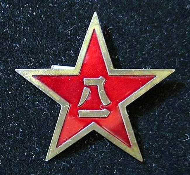 解放军帽子上的五角星,象征与荣耀,解放军五角星帽徽,象征意义与荣耀的体现