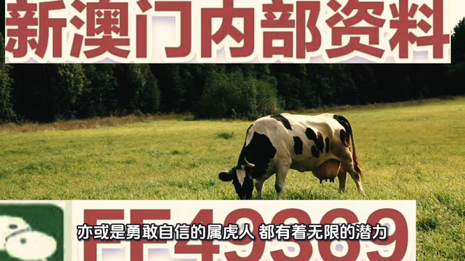 探索未来娱乐新纪元，2025新澳天天免费大全，2025新澳天天免费大全，开启未来娱乐新纪元