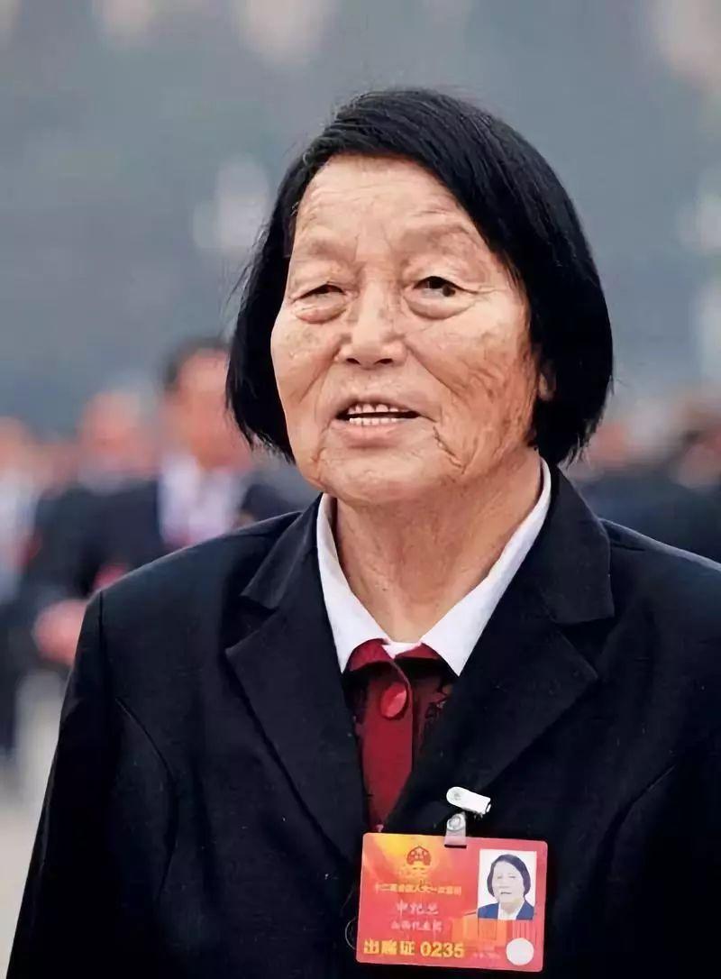 共和国勋章，九位杰出人物的辉煌简介，共和国勋章，九位杰出人物的辉煌人生之旅