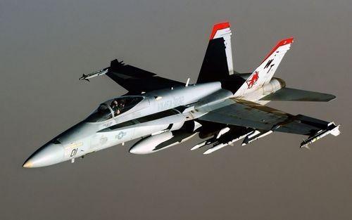 F-28雄猫战斗机，空中巨匠的传奇故事，F-28雄猫战斗机的传奇之旅