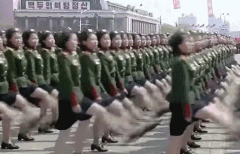 阅兵方阵，展现国家力量与荣耀的壮丽画卷，阅兵方阵，国家力量与荣耀的壮丽画卷展现