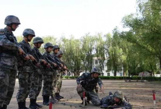 强军网官网与军考，迈向军事精英之路的指引灯塔，强军网官网与军考，军事精英成长的灯塔式指引