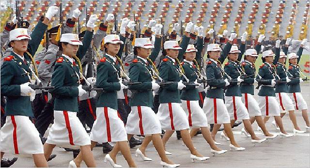 韩国阅兵,严肃与幽默的碰撞,韩国阅兵,严肃与幽默的交融时刻