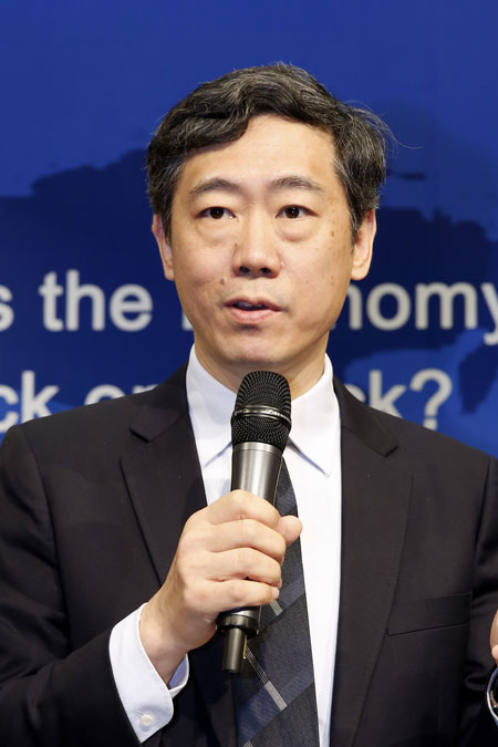 李稻葵与中国及国际观察，洞察经济大势的智者，李稻葵，中国经济大势的洞察者与国际观察专家