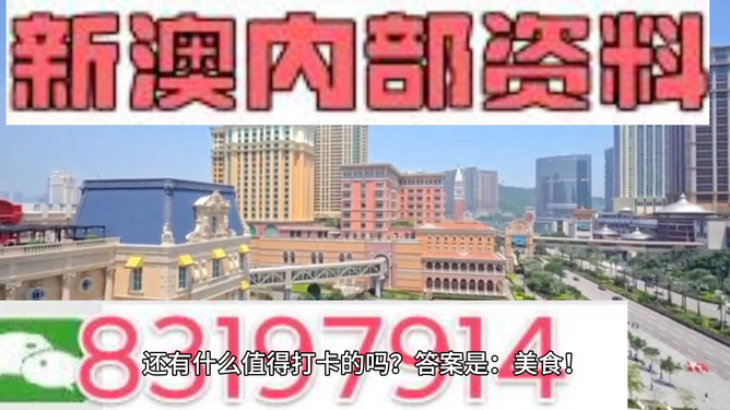 澳门免费精准资料，探索与揭秘，澳门免费精准资料揭秘探索之旅
