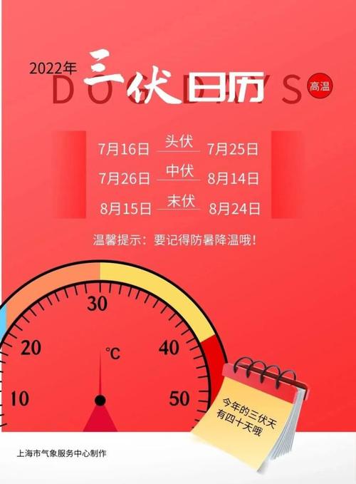 今天是三伏天气了，三伏天气炙烤大地，如何应对酷暑考验？