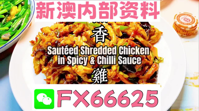 新奥精准免费资料提供，深度挖掘与高效利用，新奥精准免费资料深度挖掘与高效利用指南