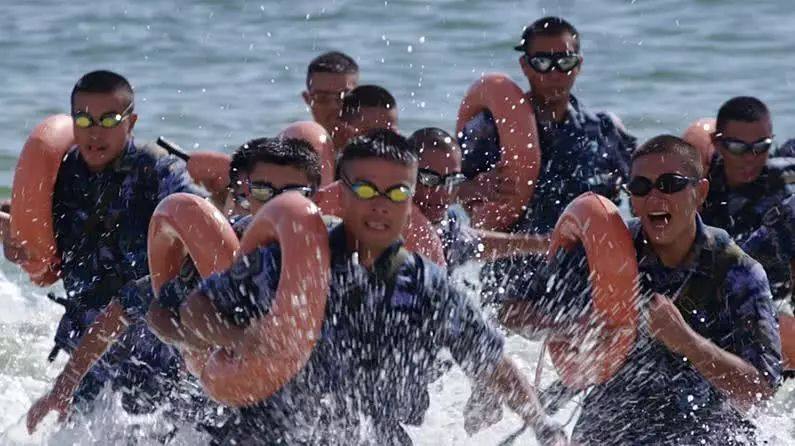 蛟龙突击队与猎鹰突击队，谁更胜一筹？，蛟龙与猎鹰，突击队实力对比