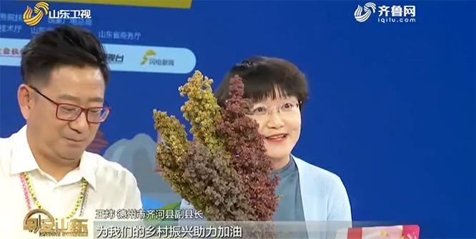 下载中央一台新闻联播直播,了解国家动态的首选途径,中央一台新闻联播直播,了解国家动态的首选途径