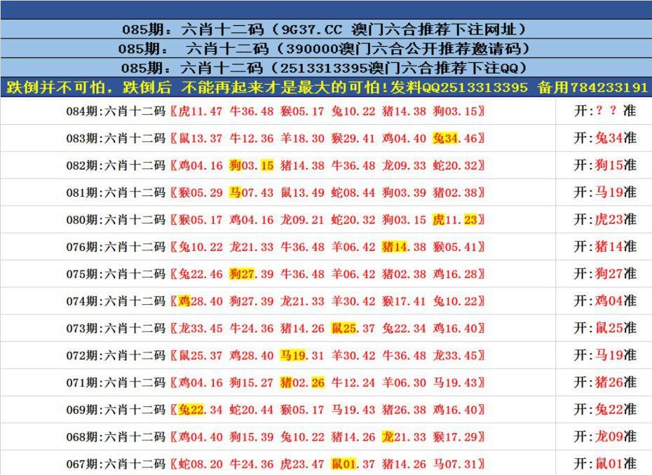 澳门六合正版资料，深度探索与解读，澳门六合正版资料的深度解读与探索