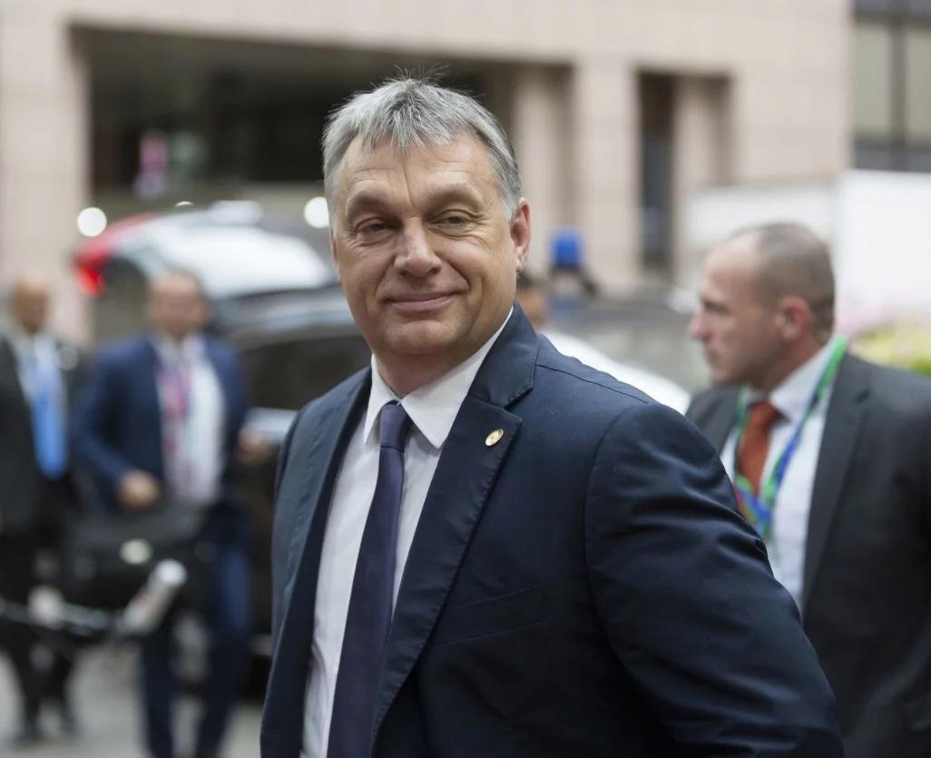 俄乌战场爆火图片，战争背后的复杂故事，俄乌战场爆火瞬间与战争背后的复杂故事