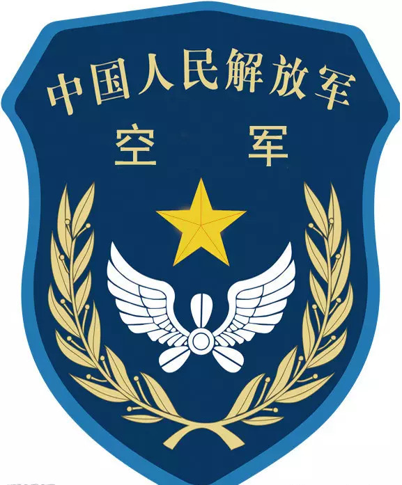 蓝色臂章，揭示其背后所代表的兵种，蓝色臂章背后的兵种秘密