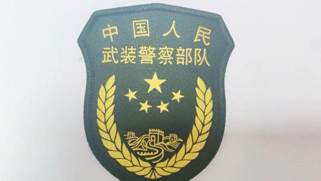 蓝色臂章,揭示其背后所代表的兵种,蓝色臂章背后的兵种秘密