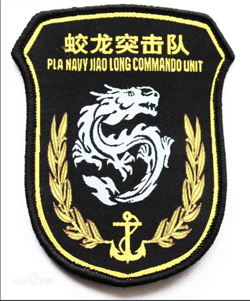 蓝色臂章,揭示其背后所代表的兵种,蓝色臂章背后的兵种秘密