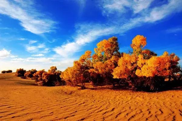 今天立秋是几点——探寻节气的奥秘，立秋节气的时间揭秘，探寻节气的奥秘