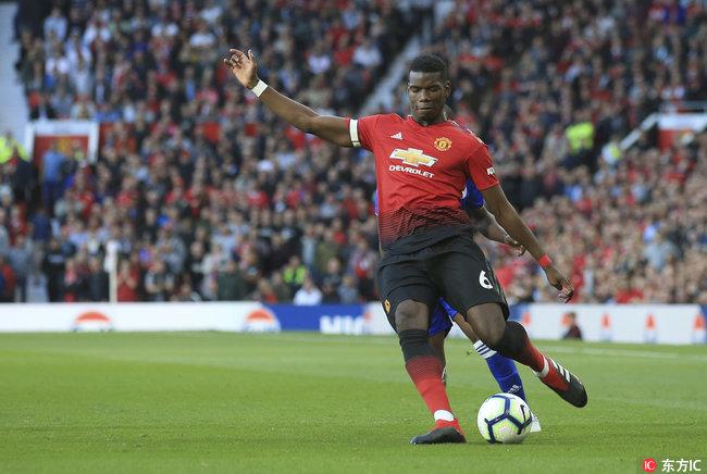 一肖二码的资料，深度解析与实际应用，一肖二码深度解析与实战应用指南