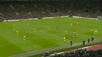 一肖二码的资料,深度解析与实际应用,一肖二码深度解析与实战应用指南