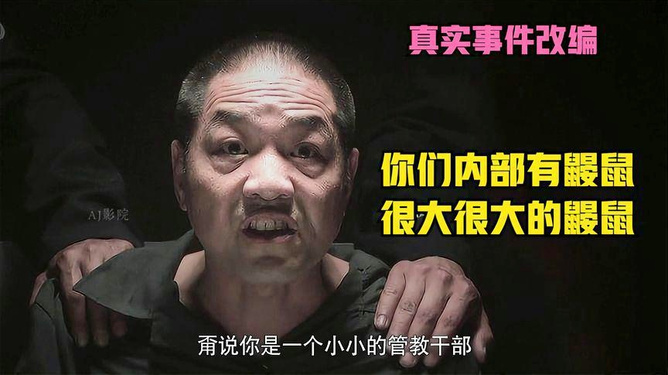 真相与启示探究