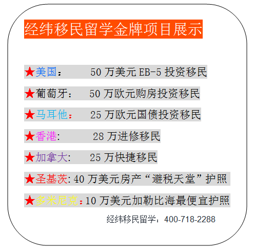 新澳门免费全年资料查询，探索与解析，澳门全年免费资料查询，深度探索与解析