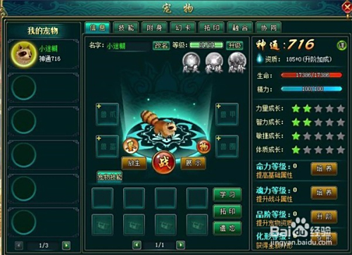 天涯论坛中的灵宠灵草，神秘世界的探索与分享，天涯论坛神秘灵宠灵草，探索与分享的世界