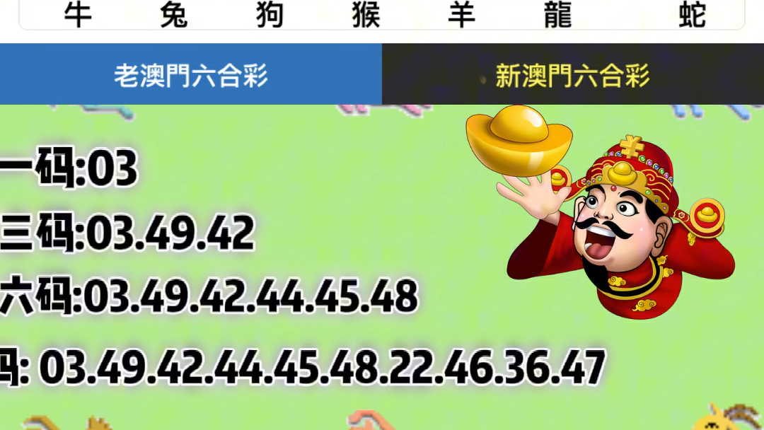 新澳门六开奖结果记录49，探索与解读，澳门六开奖结果记录探索与解读，揭秘数字背后的秘密（49期记录）