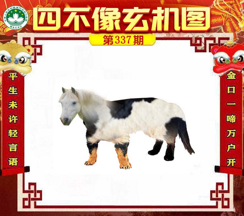 王中王四不像与肖一肖中特，探索神秘现象背后的真相，揭秘王中王四不像与肖一肖中特，探索神秘现象真相