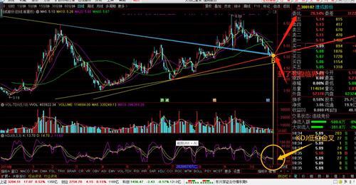 今天日本的独特魅力与变迁,日本独特魅力的展现与变迁之旅