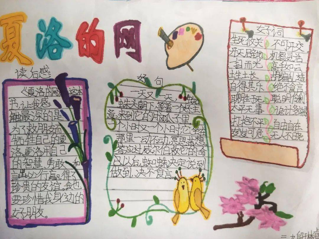 三年级摘抄一段话的魅力与价值，三年级摘抄段落，探究文字魅力与价值的启示