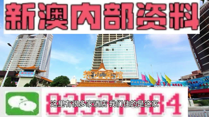 新澳门内部正版资料大全，探索与解读，澳门内部正版资料大全，深度探索与解读
