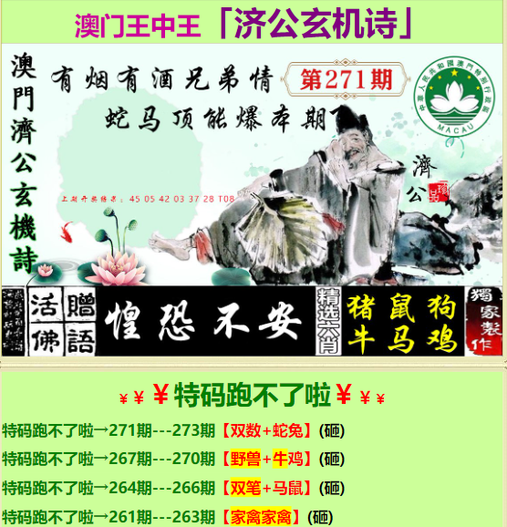 精谁一肖淘码论坛王中王，深度探索与解读，深度探索与解读，精谁一肖淘码论坛王中王