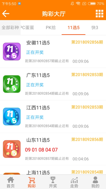 王中王资料一肖中特com十二码，深度解析与探索，王中王资料一肖中特深度解析与探索，十二码的秘密探索