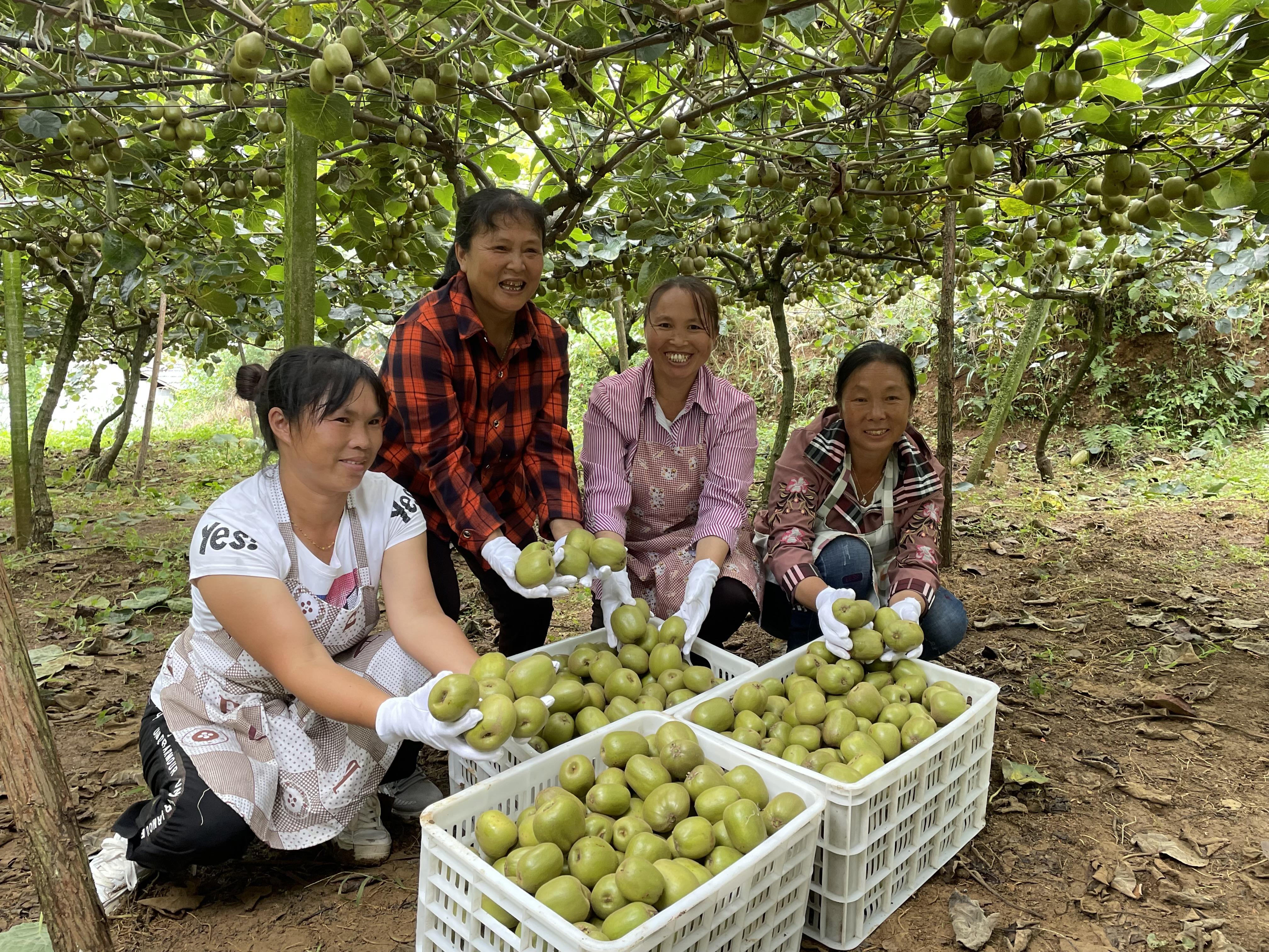 最近新闻大事2021视频,回顾与前瞻,回顾与前瞻,2021年新闻大事深度解析视频