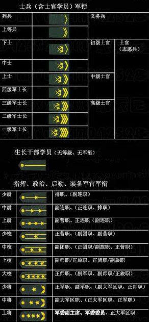 概览（或概述）