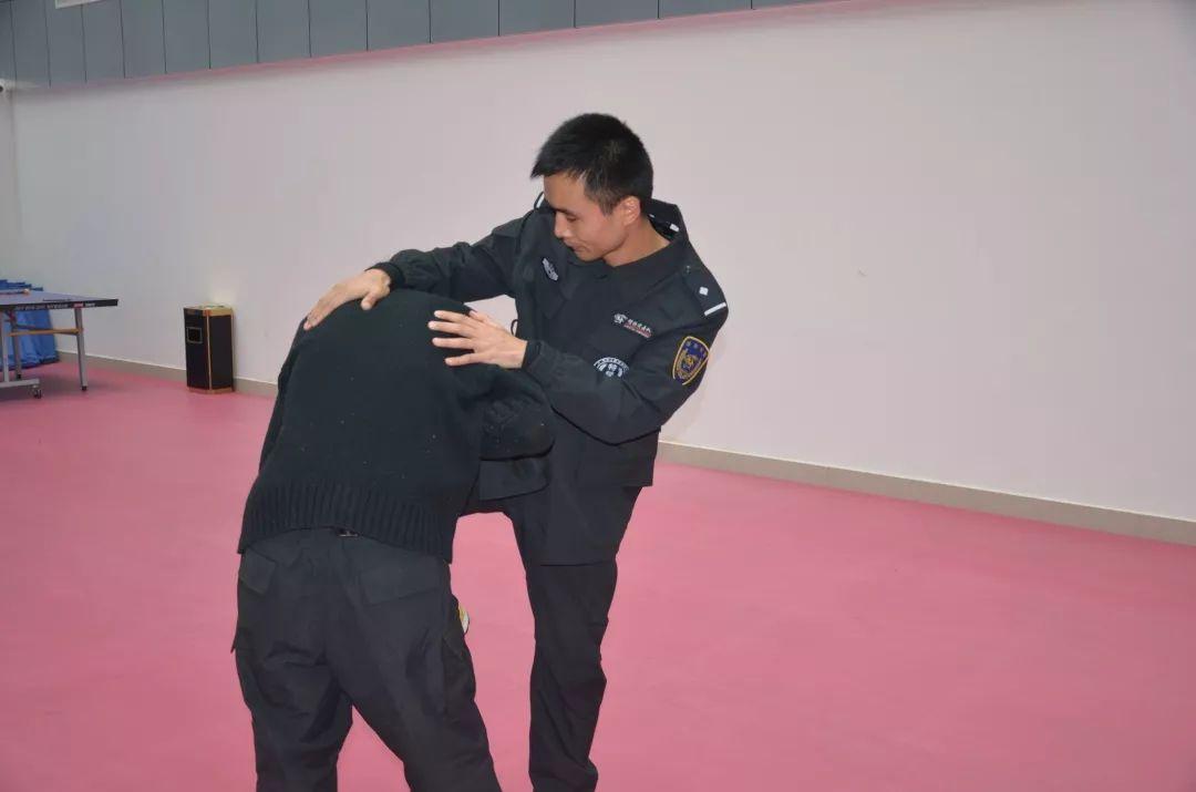 猎豹突击队真的存在吗?揭秘神秘军事组织的真相,揭秘,猎豹突击队的真实存在与否,探寻神秘军事组织的真相