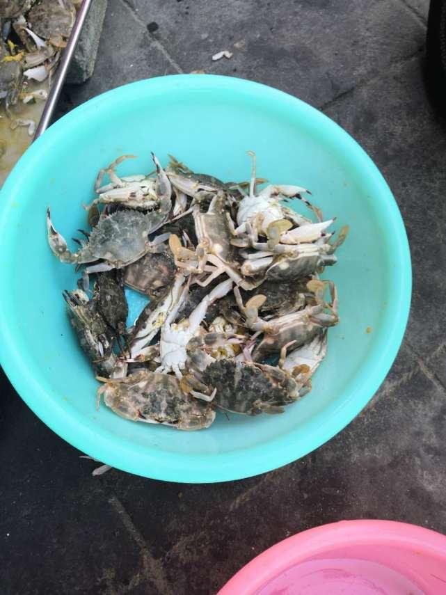 中国军队的两大支柱,中国人民解放军陆军第38集团军与第15军,中国军队两大支柱,陆军第38集团军与第15军揭秘