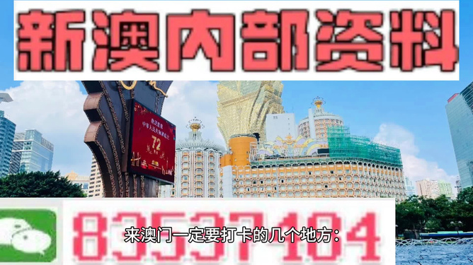 新澳门正版资料免费公开，探索与解读，澳门正版资料揭秘，探索与解读