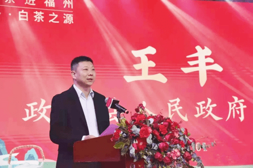 海峡两岸的王丰，连结两岸的桥梁与纽带，王丰，海峡两岸的桥梁与纽带缔造者