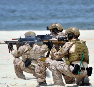 新浪军事人物博客,揭示军事领域的真实面貌与人物风采,新浪军事人物博客,揭示军事领域的真实面貌与人物风采揭秘